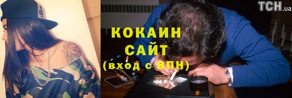 стаф Вязники