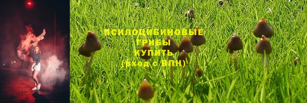 мескалин Вяземский