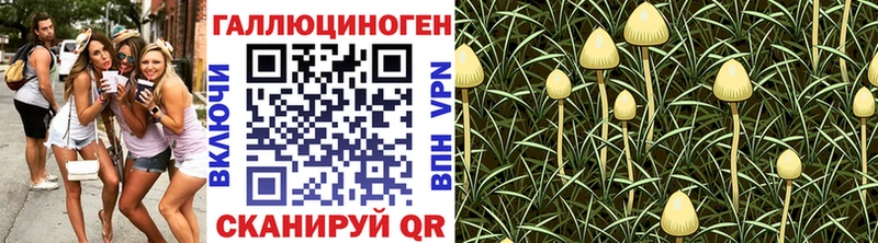 Псилоцибиновые грибы Magic Shrooms  Вологда 